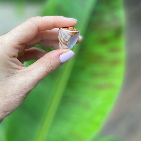 Seashell glazed ring - Picture 4 of 6
